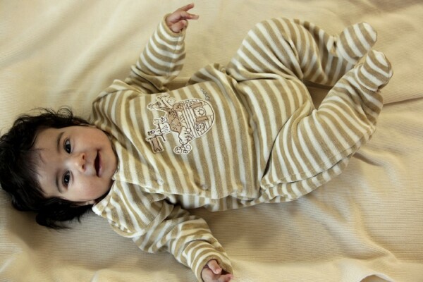 Nickioverall Arche Noah